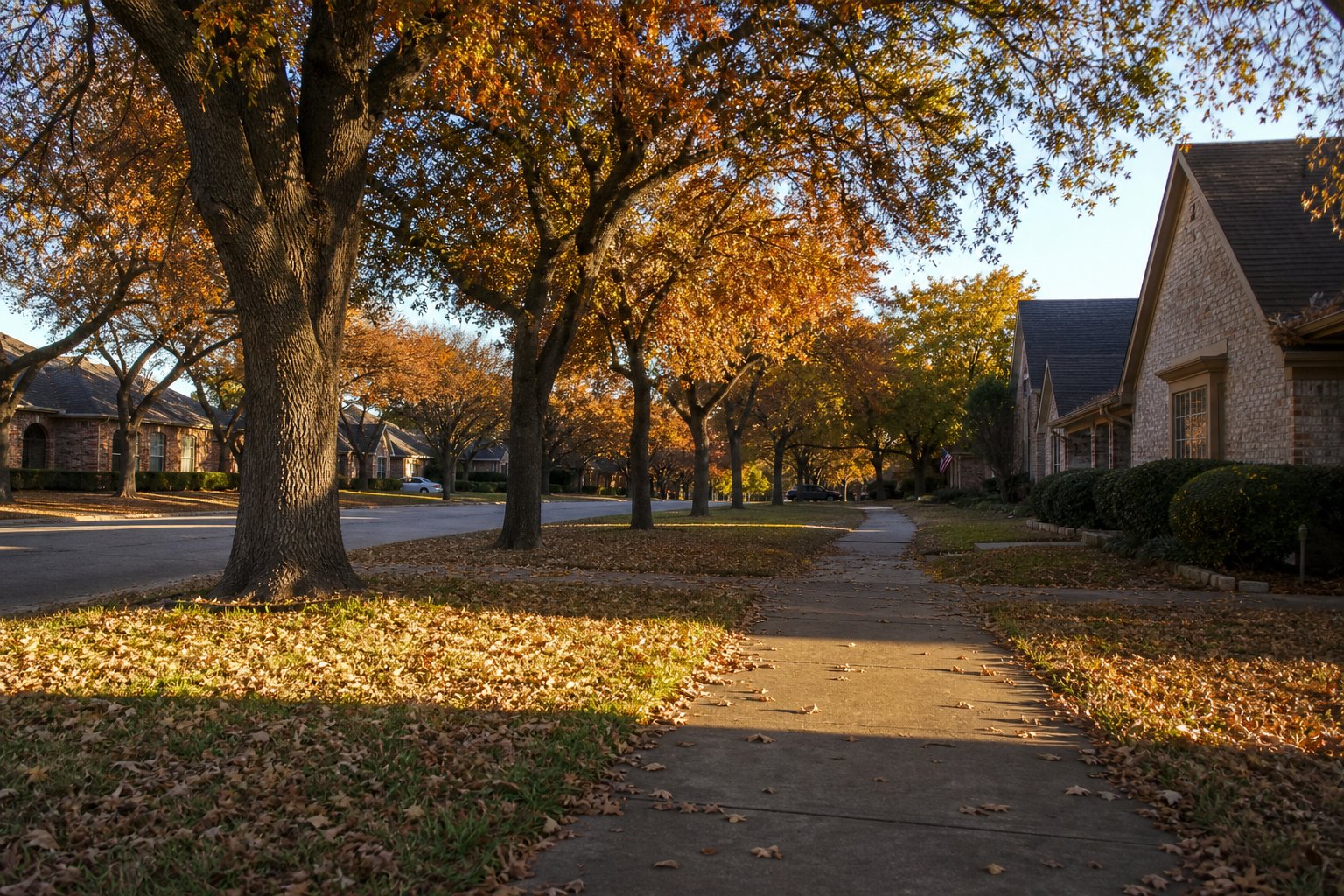 North Texas suburban street in autumn, live oaks holding bronze leaves, scattered fallen leaves on lawns and sidewalk, low golden afternoon light