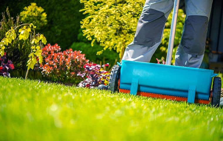 Maximizing Your Arlington Lawn's Potential: A person is mowing the lawn with a lawn mower.