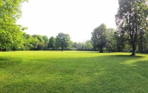 An aerial view of a park with trees and grass, showcasing the natural beauty and greenery of Arlington.