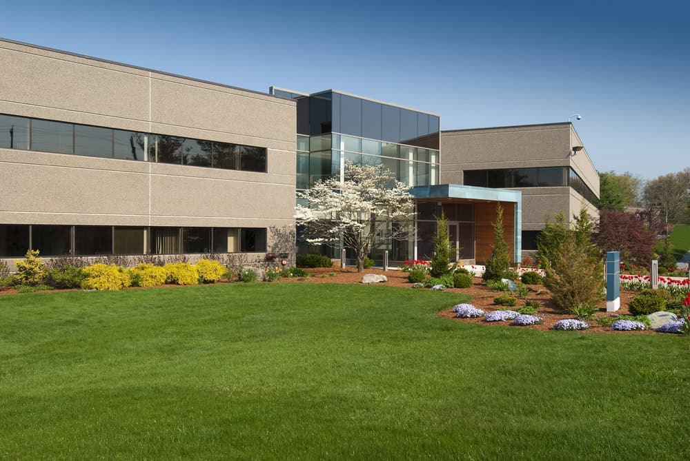 Modern office building with large windows, surrounded by expertly maintained green lawn, shrubs, and trees under a clear blue sky, thanks to premium commercial landscaping services.