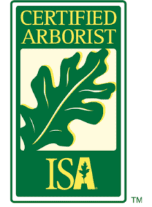 ISA Certified Arborist logo featuring a green and yellow oak leaf with the text "Certified Arborist" and "ISA" inside a rectangular border, representing expertise at Trees Hurt Too, Pest Control Tarrant County, Inc., TX.